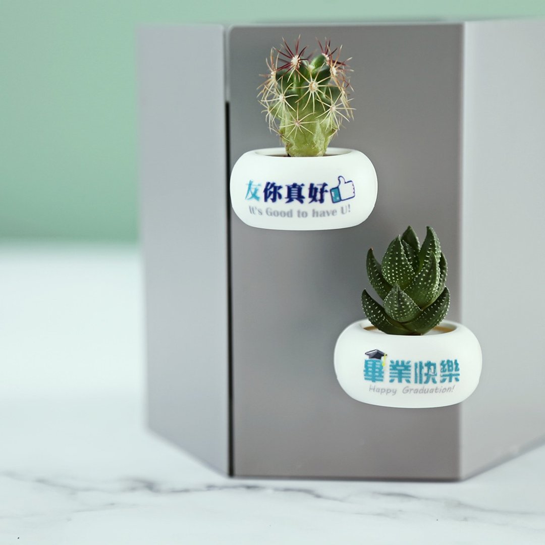 【友你真好VS毕业快乐】迷你磁铁盆栽(单入)毕业礼物/送礼/定制 - 植栽/盆栽 - 塑料 白色