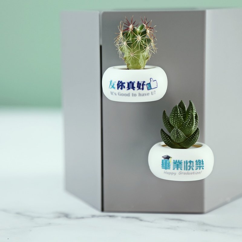 【友你真好VS毕业快乐】迷你磁铁盆栽(单入)毕业礼物/送礼/定制 - 植栽/盆栽 - 塑料 白色