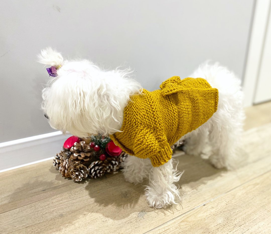 Dog clothes - dog coat  ,dog sweaters for small dogs - 衣/帽 - 羊毛 橘色