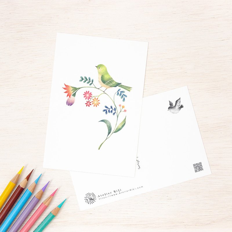 5枚セット。絵本のような。ポストカード "緑の小鳥と草花" PC-38 - 卡片/明信片 - 纸 绿色