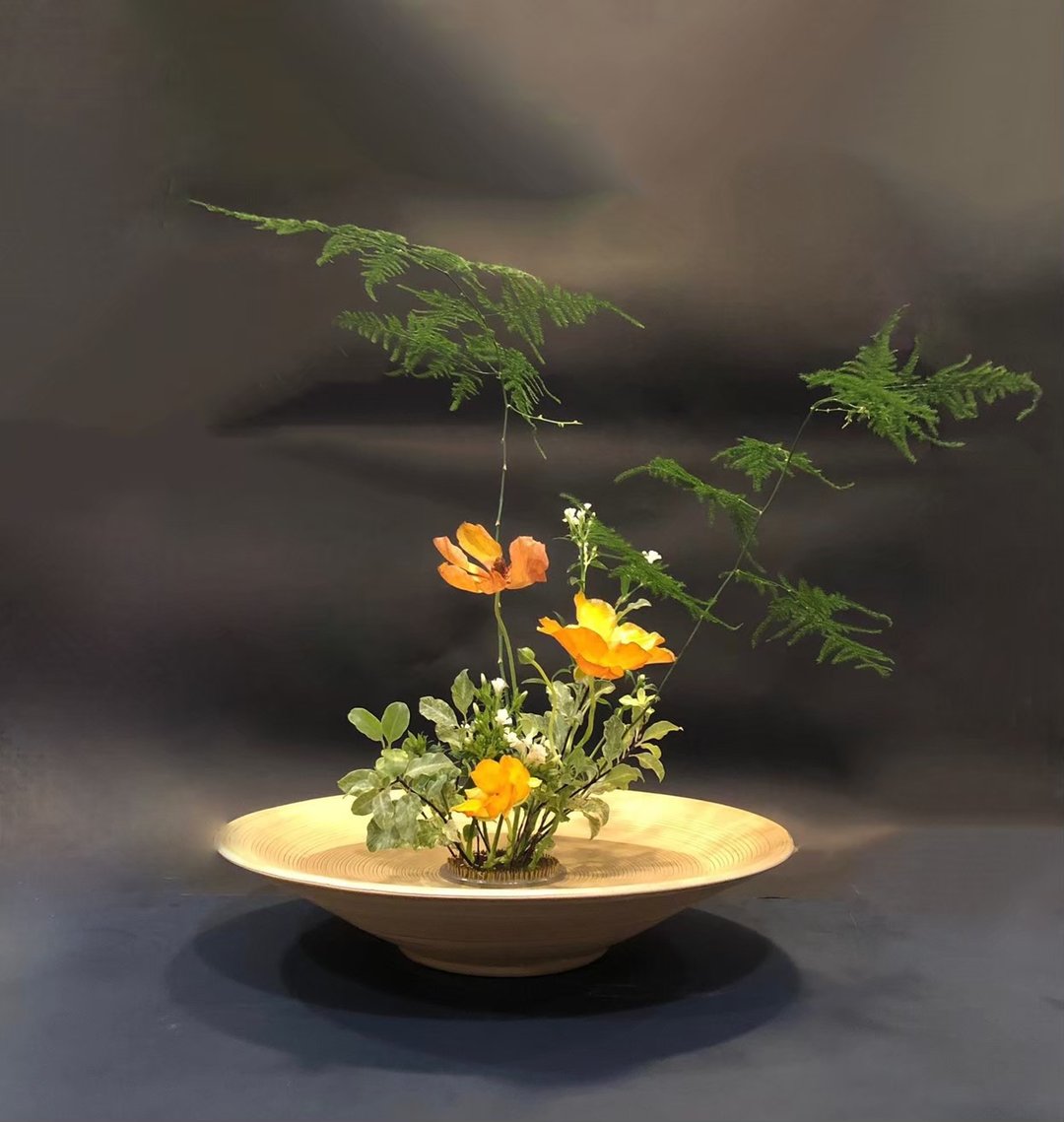 【植日生周记】小雪节气花艺课程 - 植栽 - 植物．花 