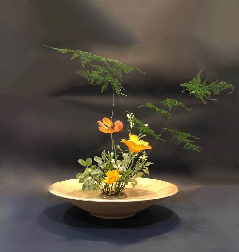 【植日生周记】小雪节气花艺课程 - 植栽 - 植物．花 