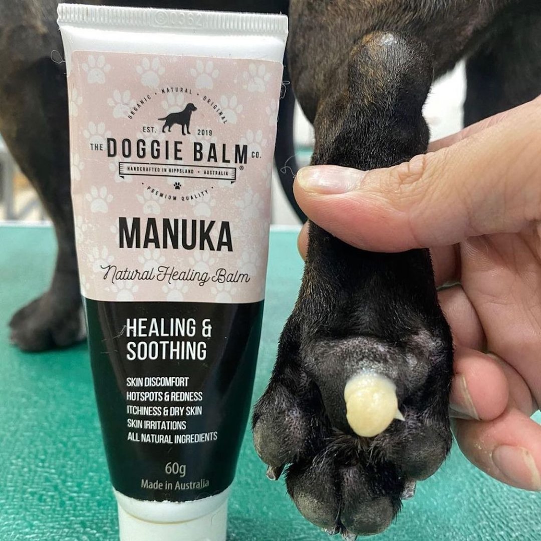 澳洲 Doggie Balm 舒活护敏 天然麦芦卡 黄金修护膏 - 清洁/美容 - 植物．花 粉红色