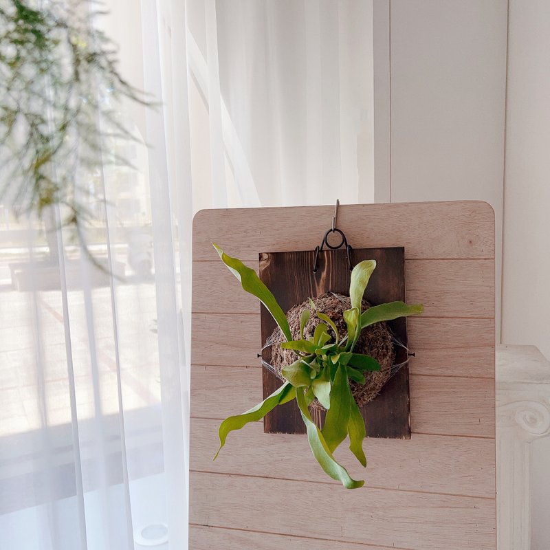 | 桃园青埔 | 企业教学 联名合作 绿沐-手作上板绿植物 - 植栽 - 植物．花 