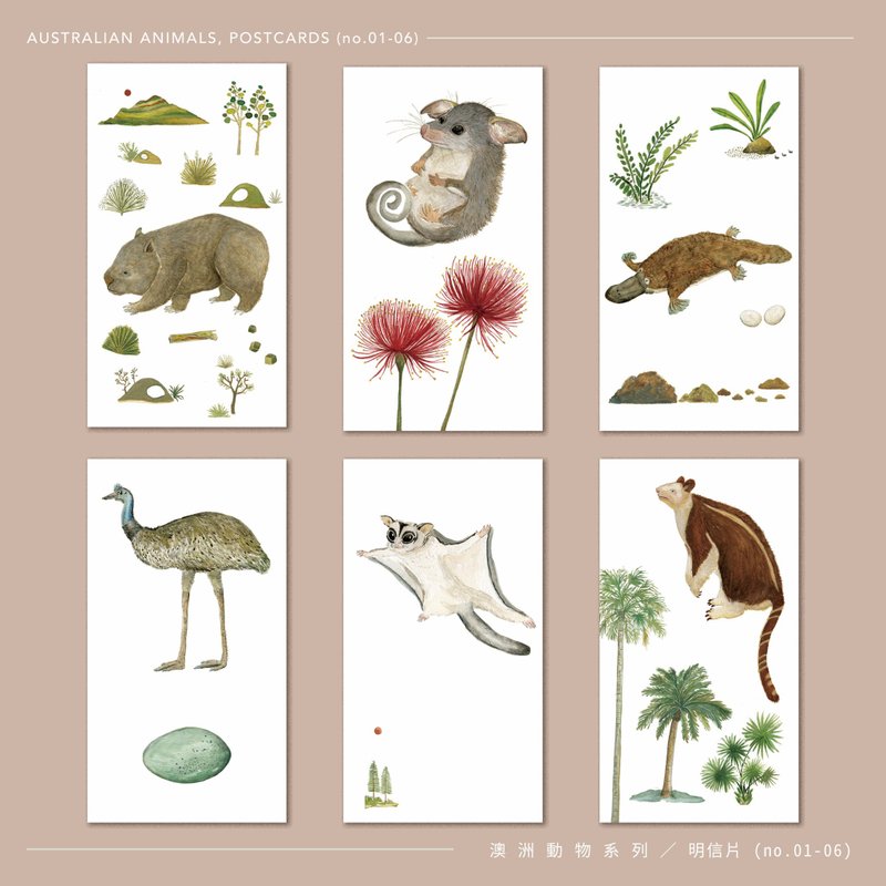 玉记纸品 / 澳洲动物明信片 ( 一组12款 ) - 卡片/明信片 - 纸 