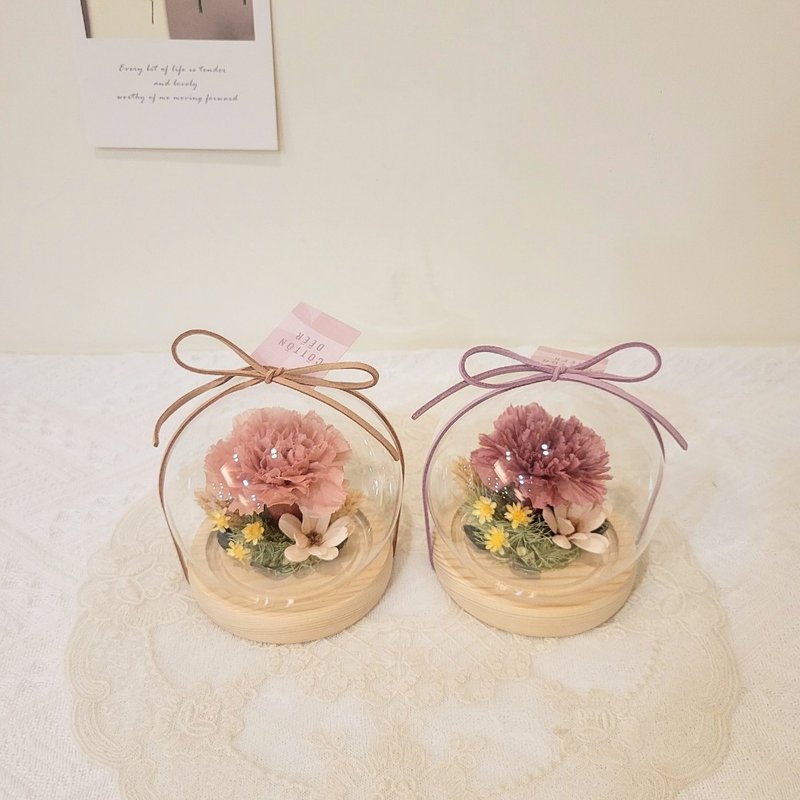 永生康乃馨玻璃球罩盅。摆饰。附包装。母亲节礼物 - 干燥花/捧花 - 植物．花 