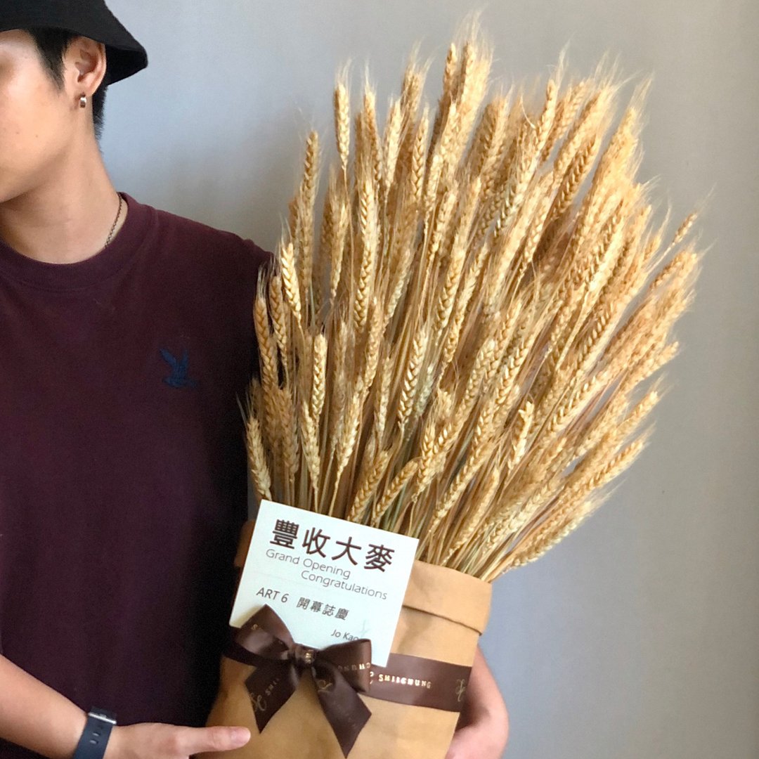 SCgift 丰收大麦盆HARVEST 开幕/升迁/个性花礼 - 干燥花/捧花 - 植物．花 