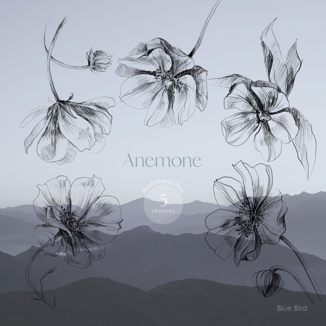 Anemone. Flower electronic file - 其他数码设计 - 其他材质 