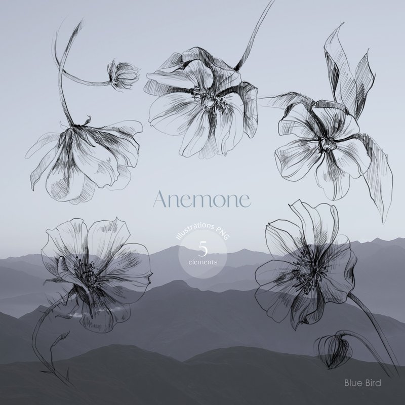 Anemone. Flower electronic file - 其他数码设计 - 其他材质 
