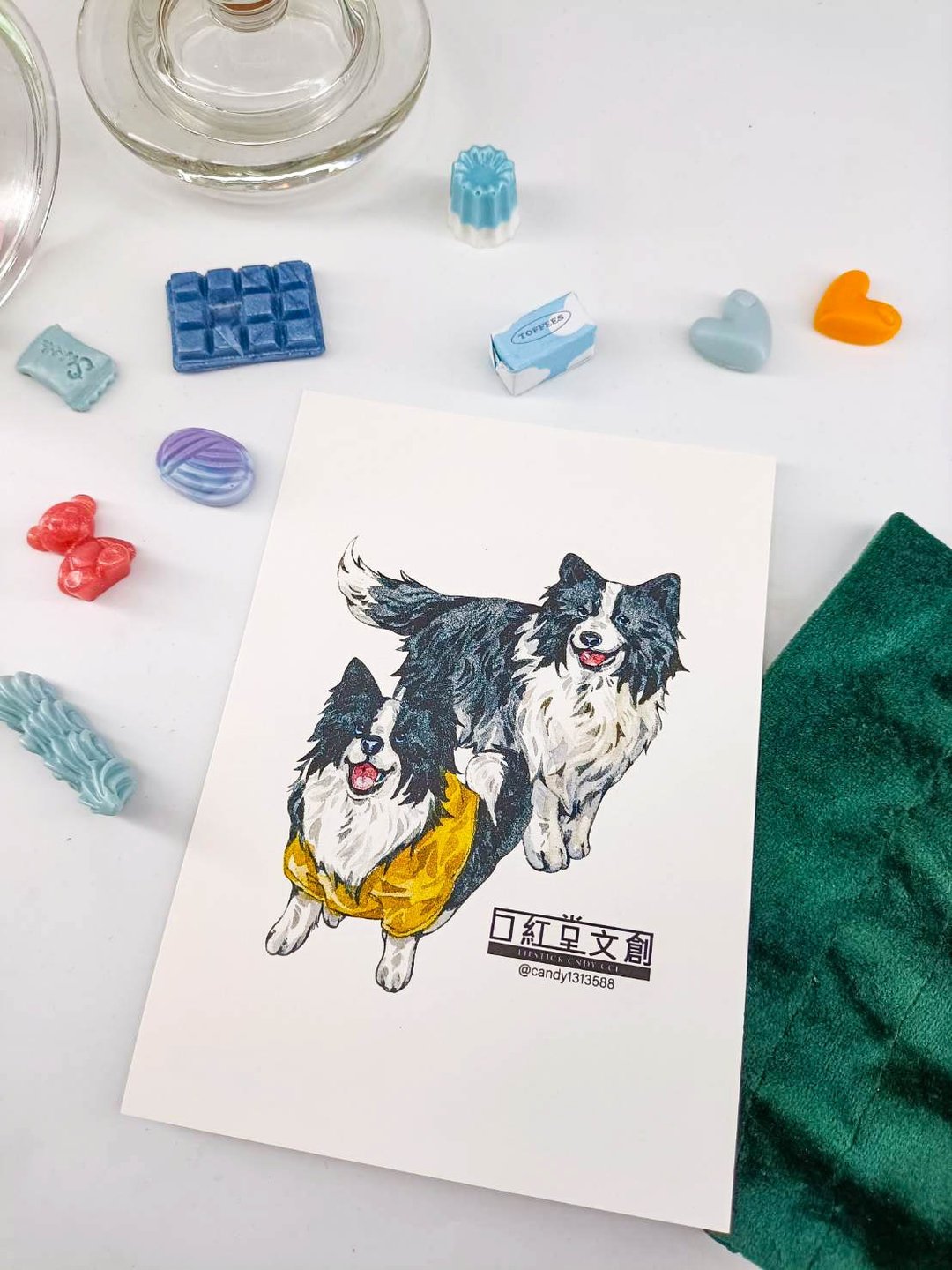 KR474_口紅堂明信片_邊境牧羊犬9_candy1313588 postcard - 卡片/明信片 - 纸 多色