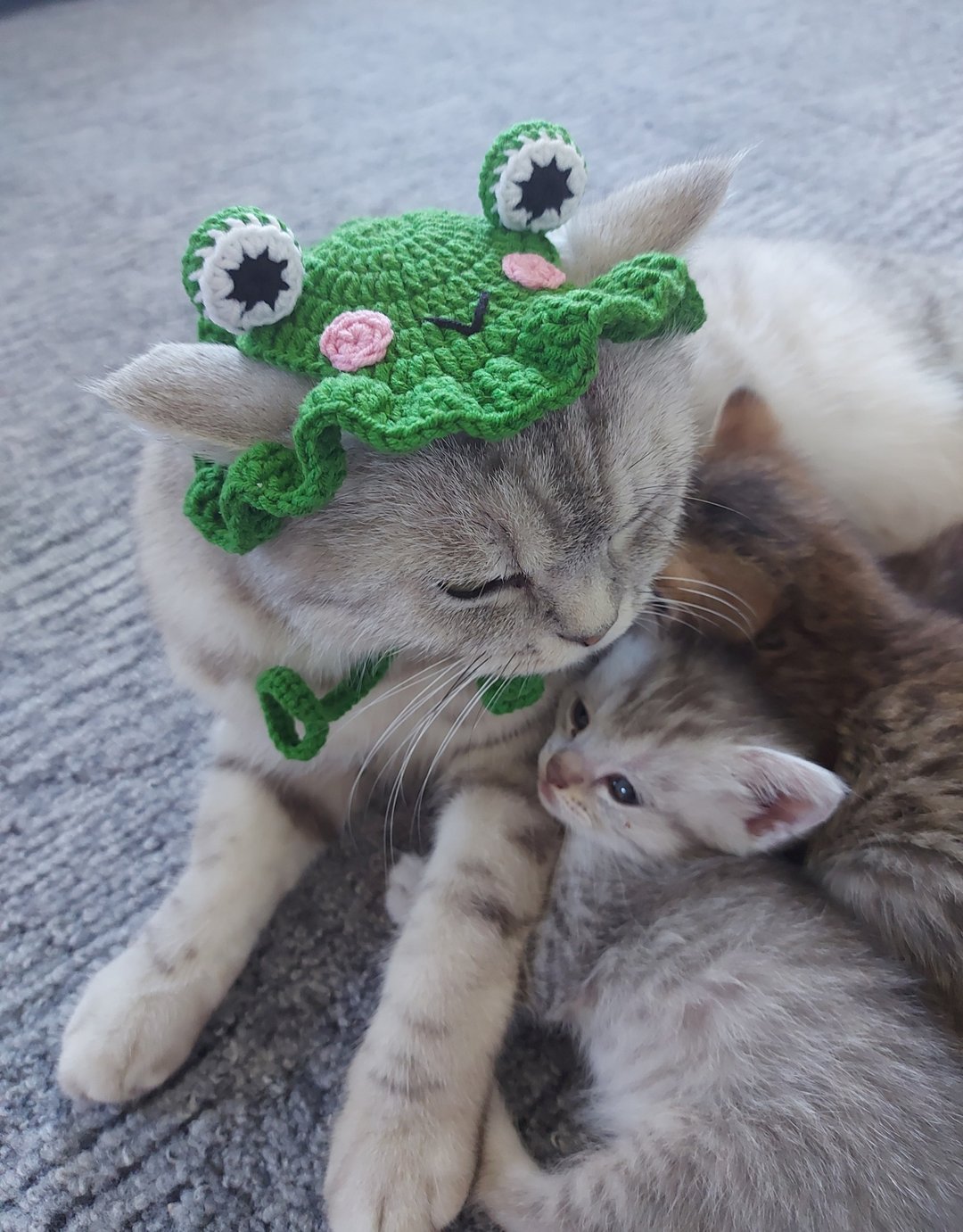 Cat hat Hat for cat Crochet hat for cat  Frog cat hat Cute cat accessory - 衣/帽 - 绣线 绿色