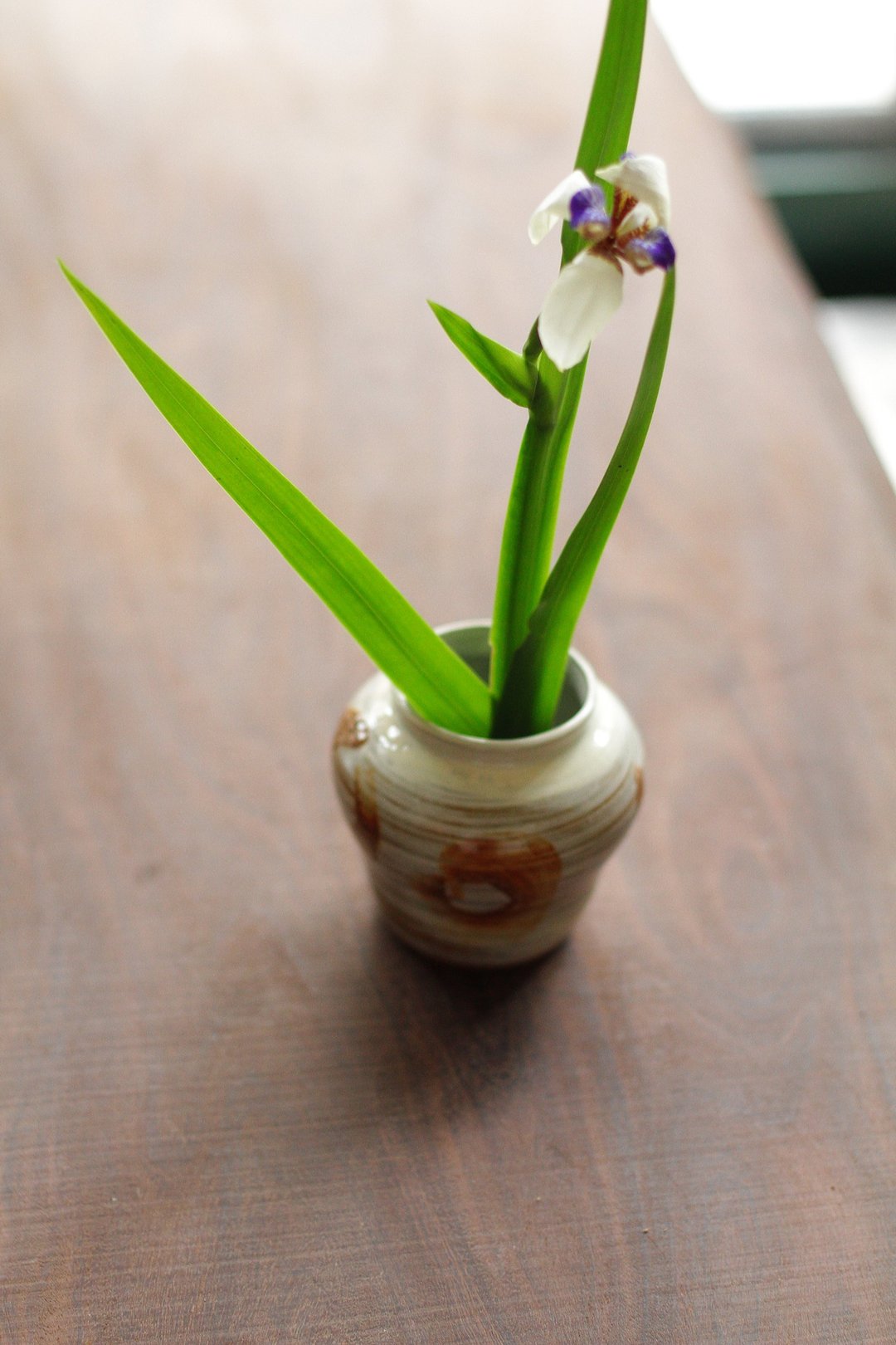 趣味手工陶瓷花器 - 花瓶/陶器 - 陶 白色
