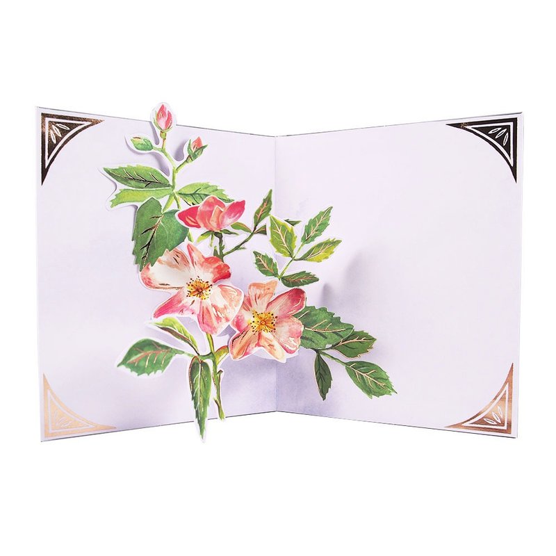 花种籽袋【Up With Paper Luxe-立体卡片 多用途】 - 卡片/明信片 - 纸 多色