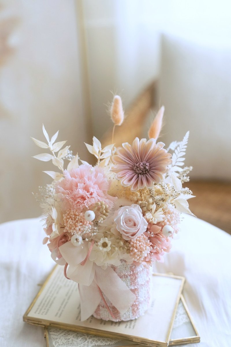 樱花浅粉永生康乃馨小香盆花 / 康乃馨盆花 永生康乃馨盆花 - 干燥花/捧花 - 植物．花 粉红色