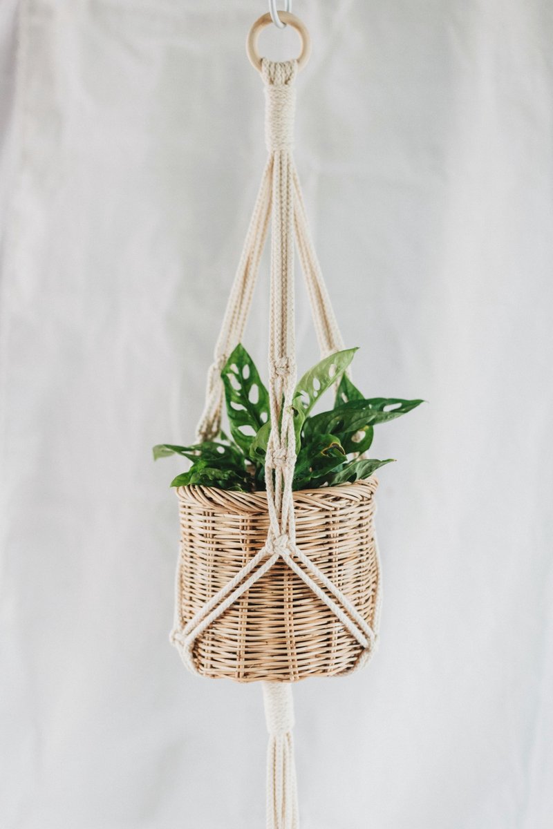 Macrame Plant Hanger / Twisted knots - 植栽/盆栽 - 棉．麻 白色