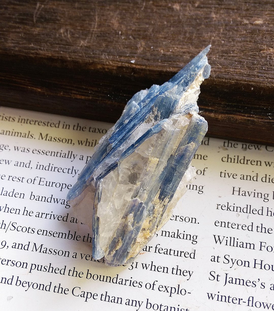 Kyanite 巴西产地 蓝晶石 石英共生矿 天然矿石 原矿 - 摆饰 - 其他材质 