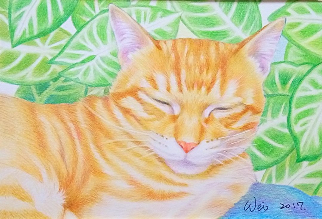 橘猫色铅笔插画(手工绘制) 特价1800元 - 海报/装饰画/版画 - 纸 多色