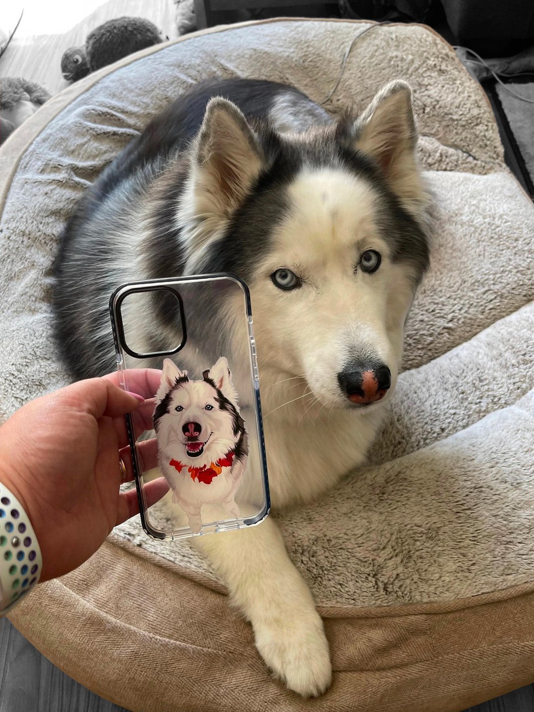 定制化手工宠物自画像手机壳 客制化手绘iPhone手机壳毛孩子肖像 - 手机壳/手机套 - 其他材质 多色