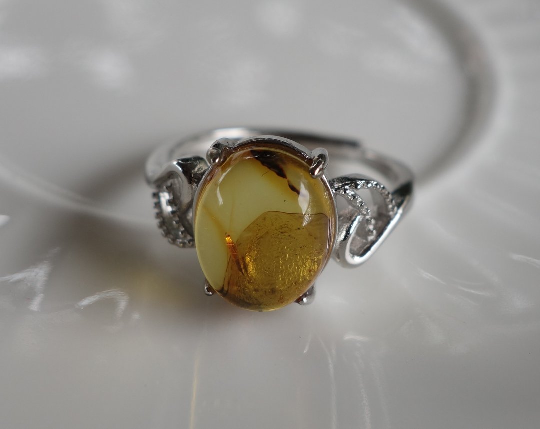 Amber 琥珀 天然波罗的海金珀 戒指 2.55克 植物珀 花珀 非二代琥 - 戒指 - 半宝石 金色