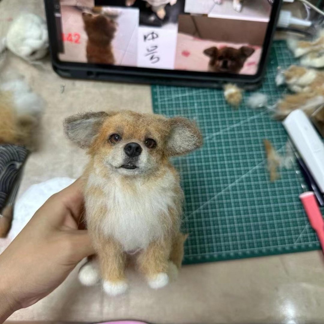 定制 逼真犬 毛孩 宠物 柯基 羊毛毡 娃娃 似颜绘 纪念 狗狗 o5 - 玩具 - 羊毛 多色