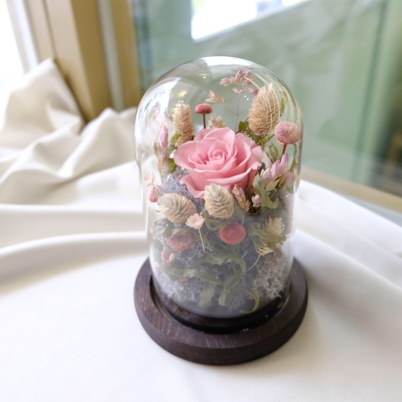 玻璃钟罩/红色/粉色/橘色/不凋花/永生花/干燥花/情人节/母亲节 - 植栽/盆栽 - 植物．花 粉红色