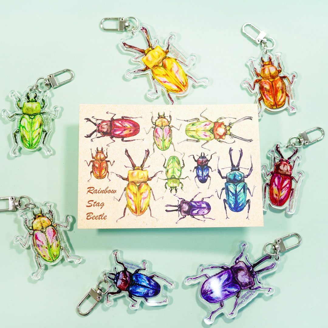 【彩虹锹形虫】水彩插画 自然图鉴明信片 昆虫 自然 甲虫 - 卡片/明信片 - 纸 多色