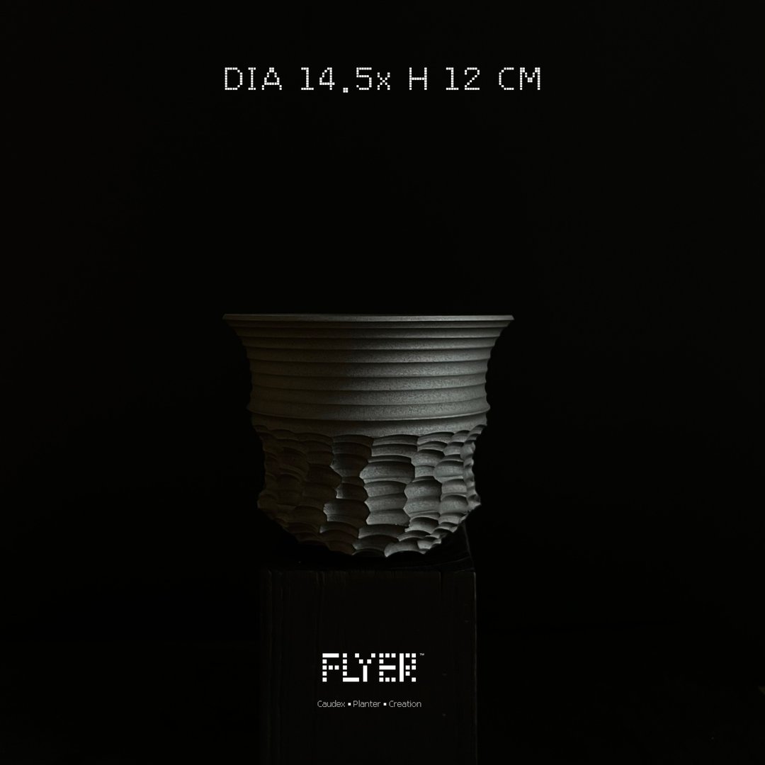 FLYER 块根多肉植物陶盆器 龙舌兰象牙宫象足漆树盆器 - 植栽/盆栽 - 陶 