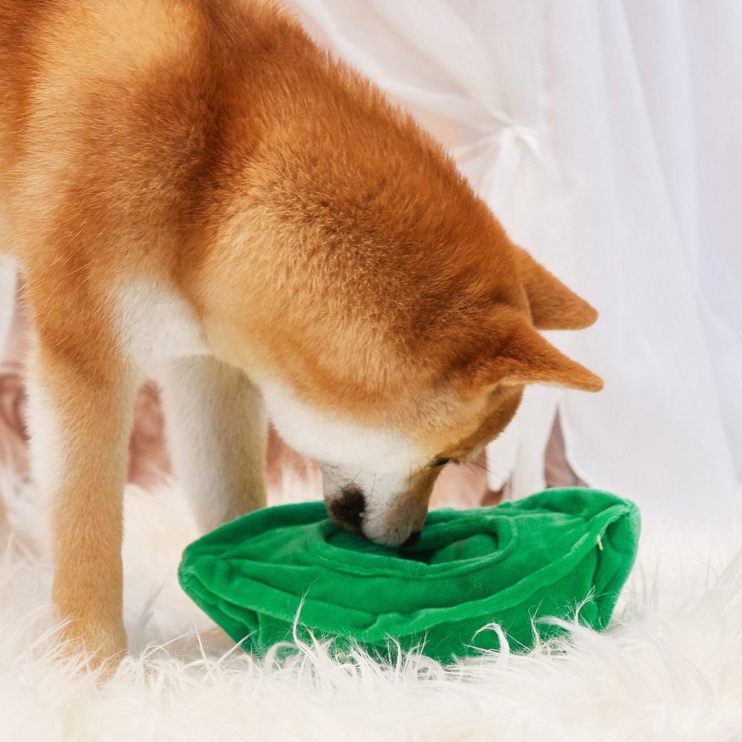 【犬猫玩具】Petsville派思维 蔬菜水果系列发声玩具(4款) - 玩具 - 玩具 - 聚酯纤维 多色