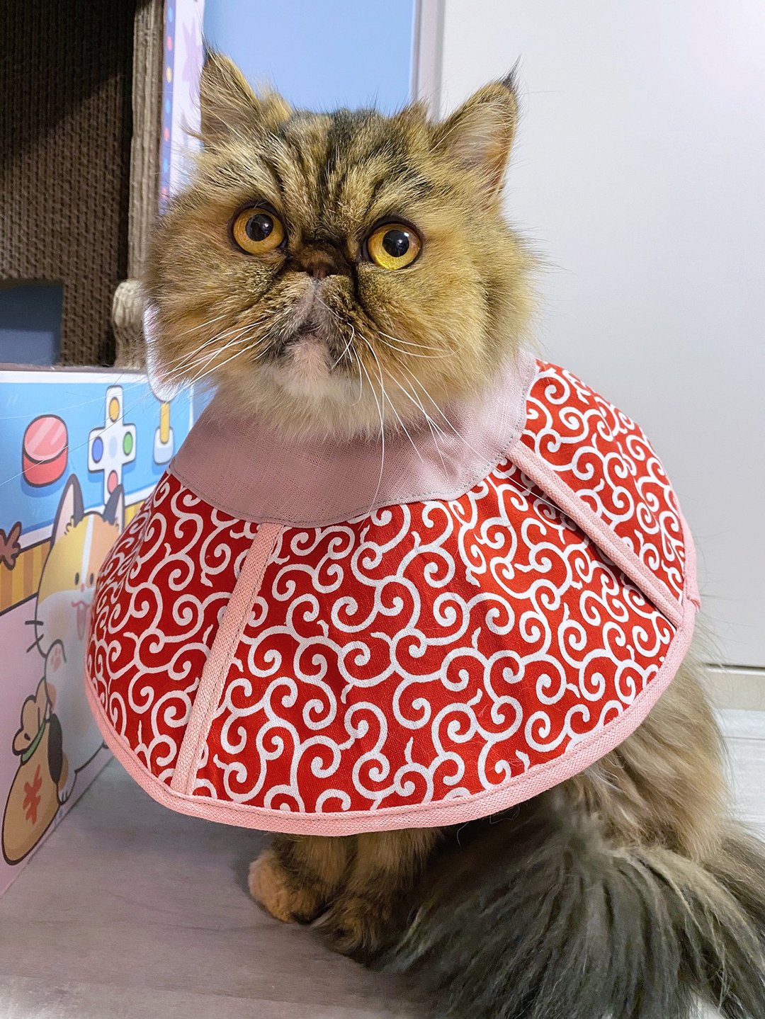 猫咪专用头套 防抓防舔 伊莉莎白项圈 - 衣/帽 - 棉 多色