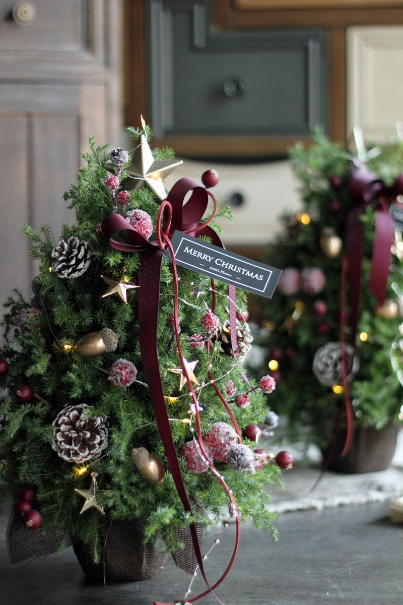 Mini 红色小霜果【新鲜圣诞树 】诺贝松与雪松圣诞树 - 植栽/盆栽 - 植物．花 多色