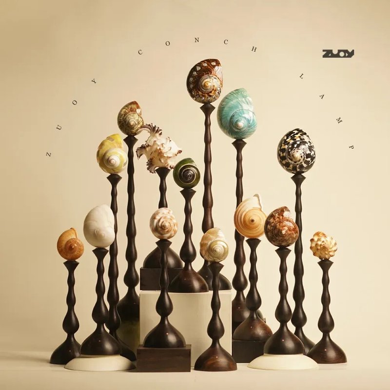 ZUOY 佐佑木灯 大海灯饰之作-天然海螺系列 - 灯具/灯饰 - 木头 