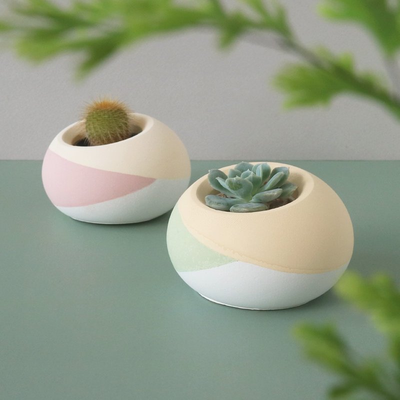 三色豆花球【椭圆斜口水泥盆】 - 植栽/盆栽 - 水泥 