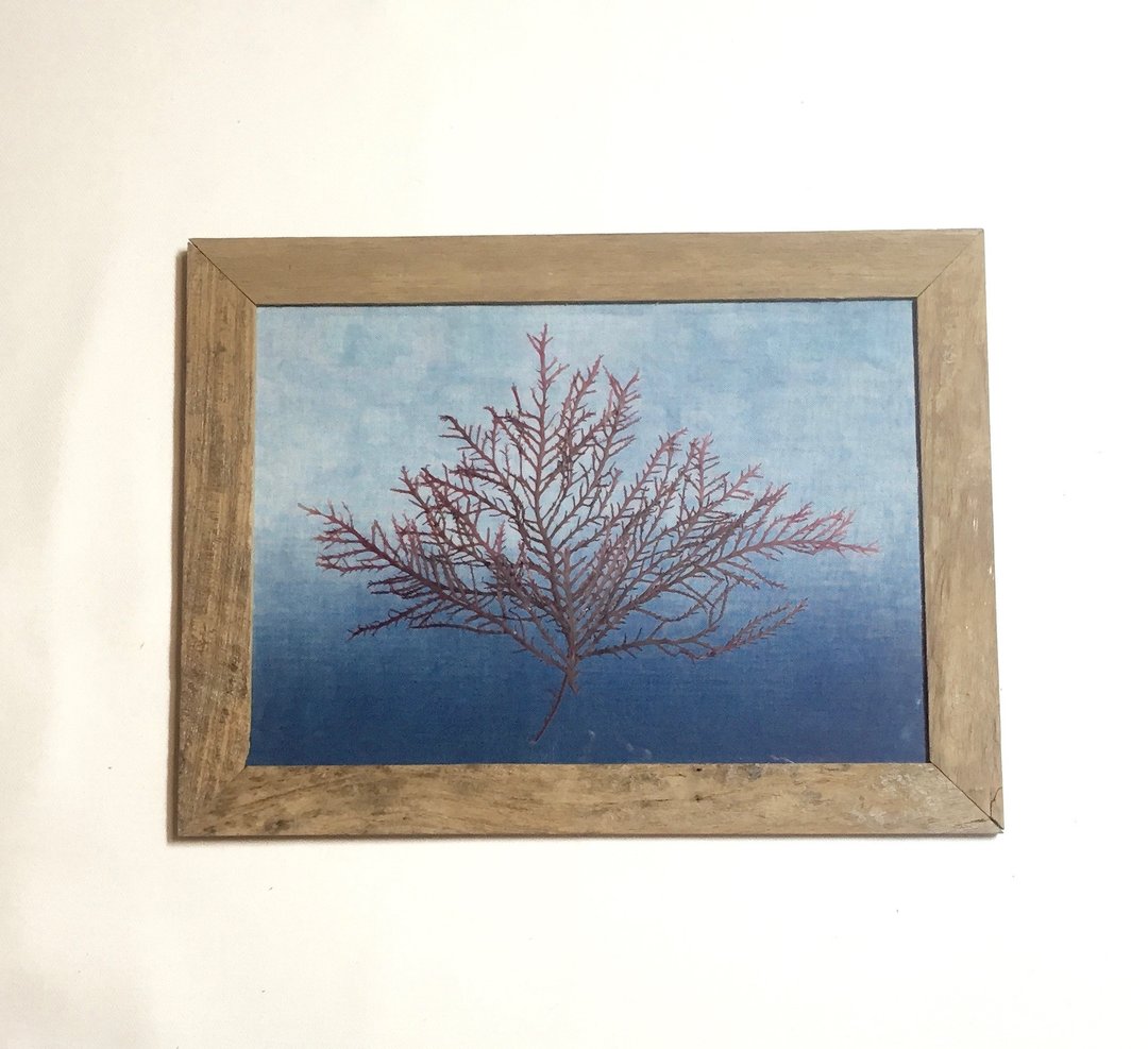 Seaweed seaweed art Indigo dye 藍 ART - 海报/装饰画/版画 - 其他材质 蓝色