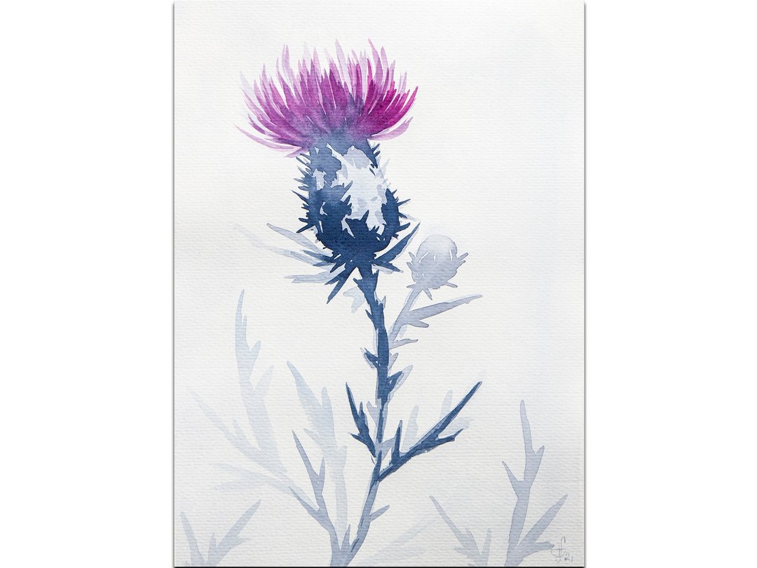 Thistle Painting Flower Original Art Indigo Floral Watercolor Hand-Painted - 海报/装饰画/版画 - 纸 蓝色