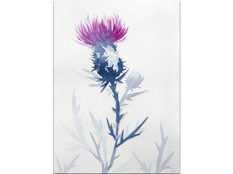 Thistle Painting Flower Original Art Indigo Floral Watercolor Hand-Painted - 海报/装饰画/版画 - 纸 蓝色