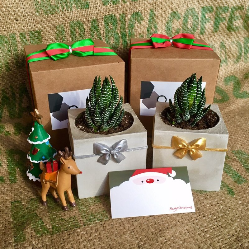 圣诞节交换礼物！大礼物水泥盆～!金银双色 - 植栽/盆栽 - 水泥 红色