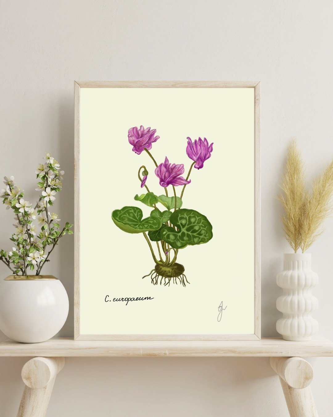 仙客来植物画 手绘冬季花卉挂画 - 电子手绘真人画像/绘画/插画 - 其他材质 