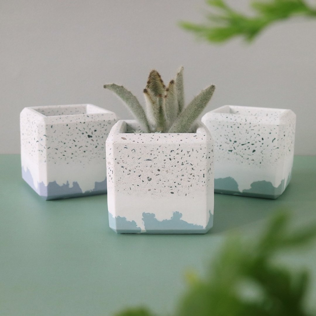 磨石子撞色【厚边四角水泥盆】 - 植栽/盆栽 - 水泥 