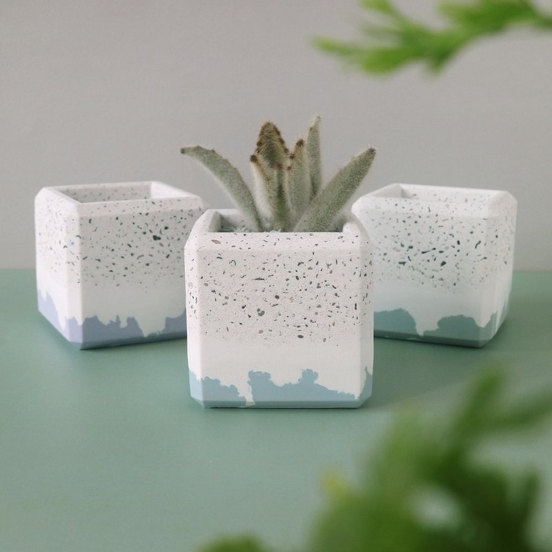 磨石子撞色【厚边四角水泥盆】 - 植栽/盆栽 - 水泥 