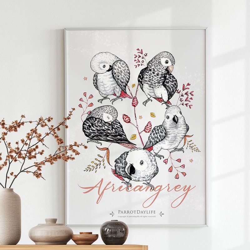 海报 / 非洲灰鹦鹉图鉴系列海报 - 海报/装饰画/版画 - 纸 