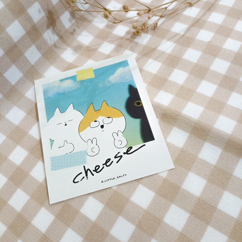 拍立得小卡-Say cheese - 卡片/明信片 - 纸 白色