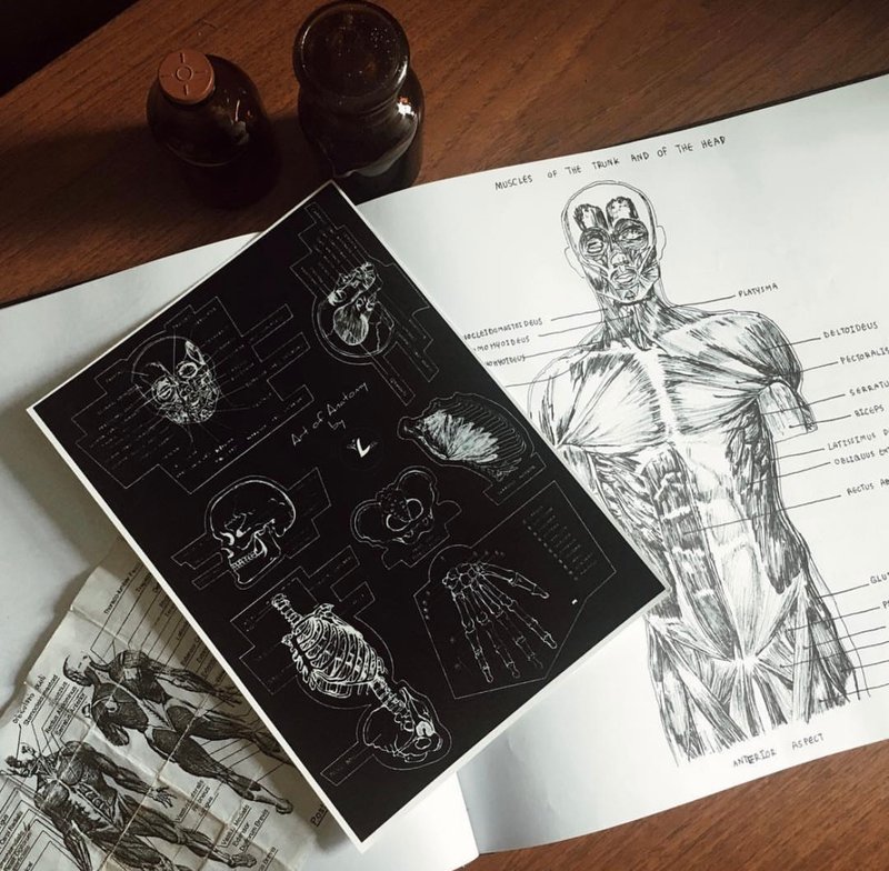 Art of anatomy sticker - 贴纸 - 其他材质 黑色