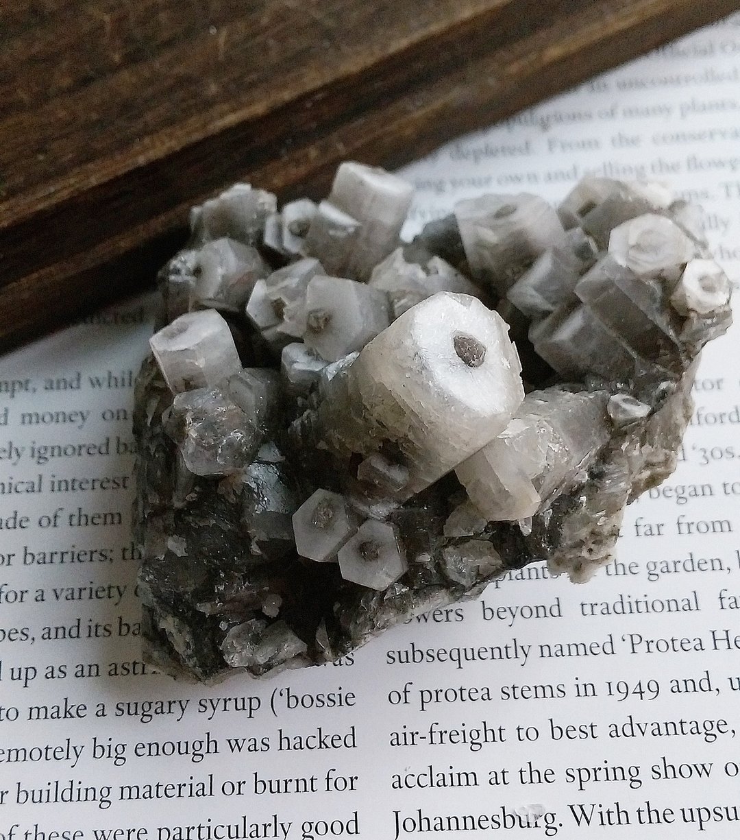 Calcite 福建产地 二次结晶方解石 熊猫方解石 天然矿石 原矿 - 摆饰 - 其他材质 