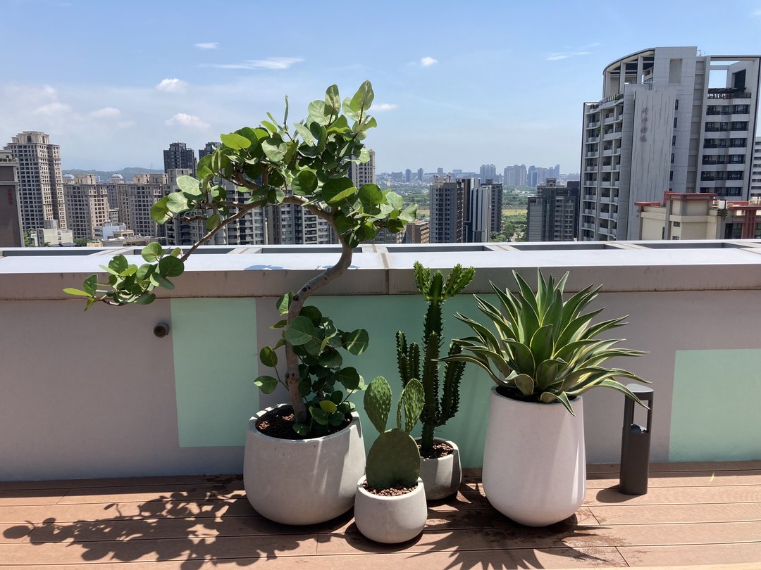 【办公空间绿化设计】商办露台 | 渡假异国风格 - 植栽/盆栽 - 植物．花 