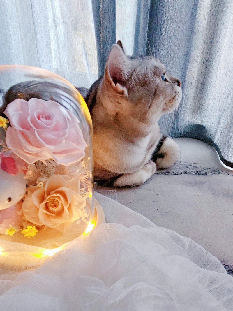 【 日本永生花】Kitty玻璃罩夜灯 可定制加入公仔 不凋花 送礼 - 干燥花/捧花 - 植物．花 