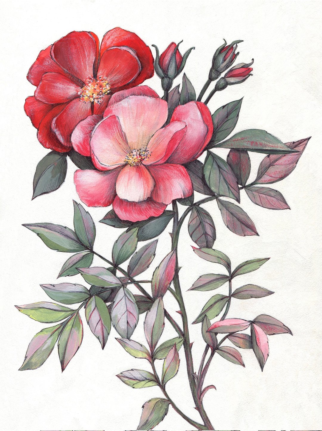 红百合原创水粉画 30x21cm 红百合艺术红色花朵画 - 插画/绘画/写字 - 纸 红色