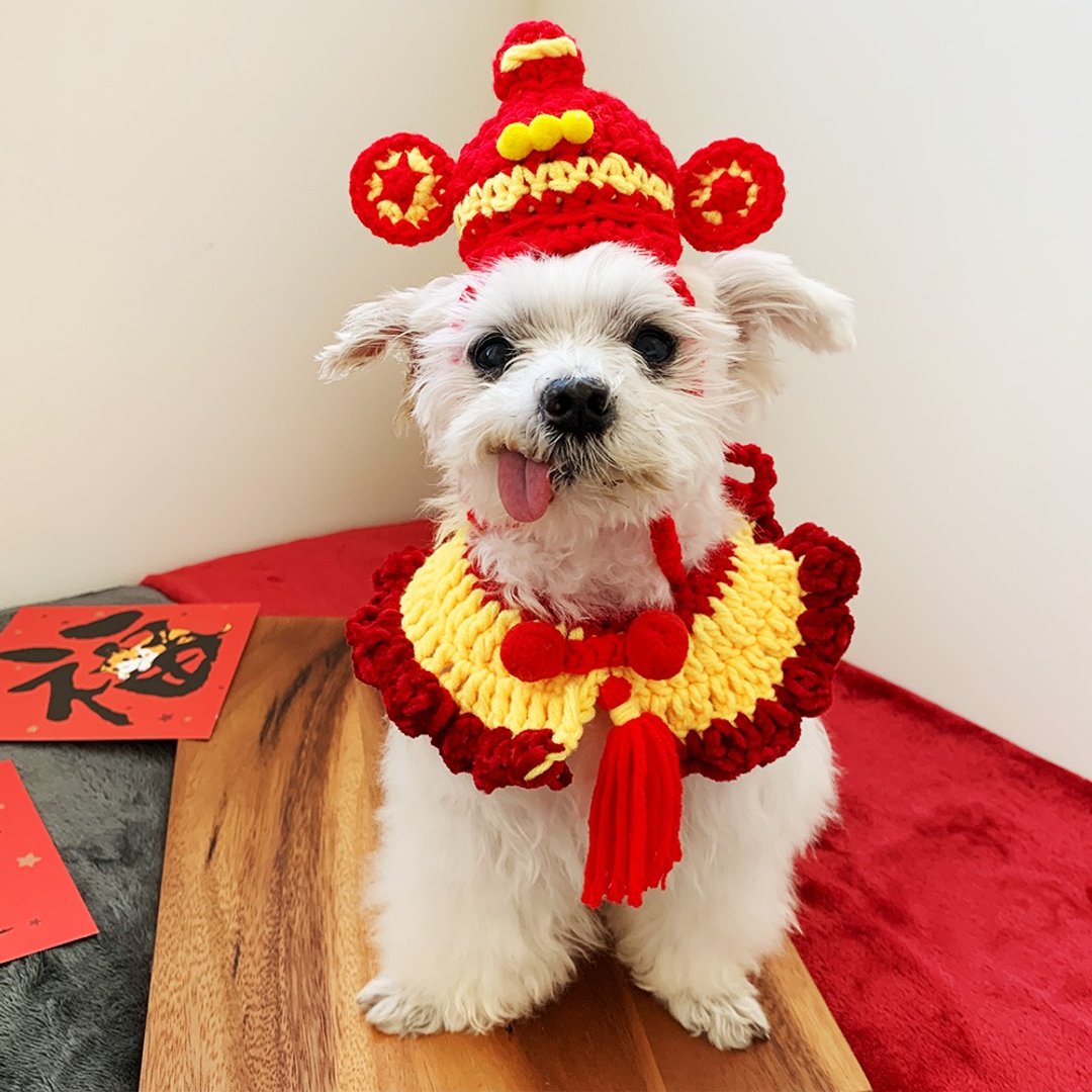 新春过年/财神帽/过年领巾/宠物项圈/猫咪狗狗帽子/宠物帽 - 衣/帽 - 棉 红色