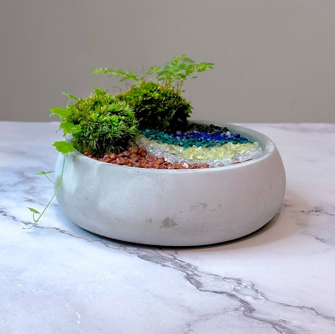 水晶魔法花园 / 微景观 / 疗愈 / 开运 / 消磁 - 植栽/盆栽 - 植物．花 