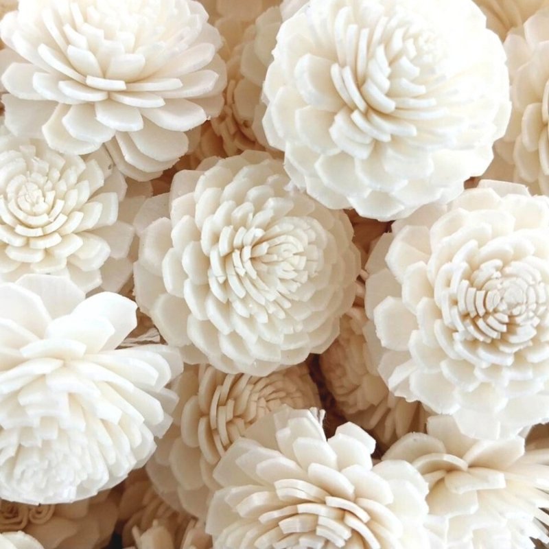 由田菁树制成的展开茉莉花，尺寸 3 厘米，50 朵花 - 植栽 - 植物．花 