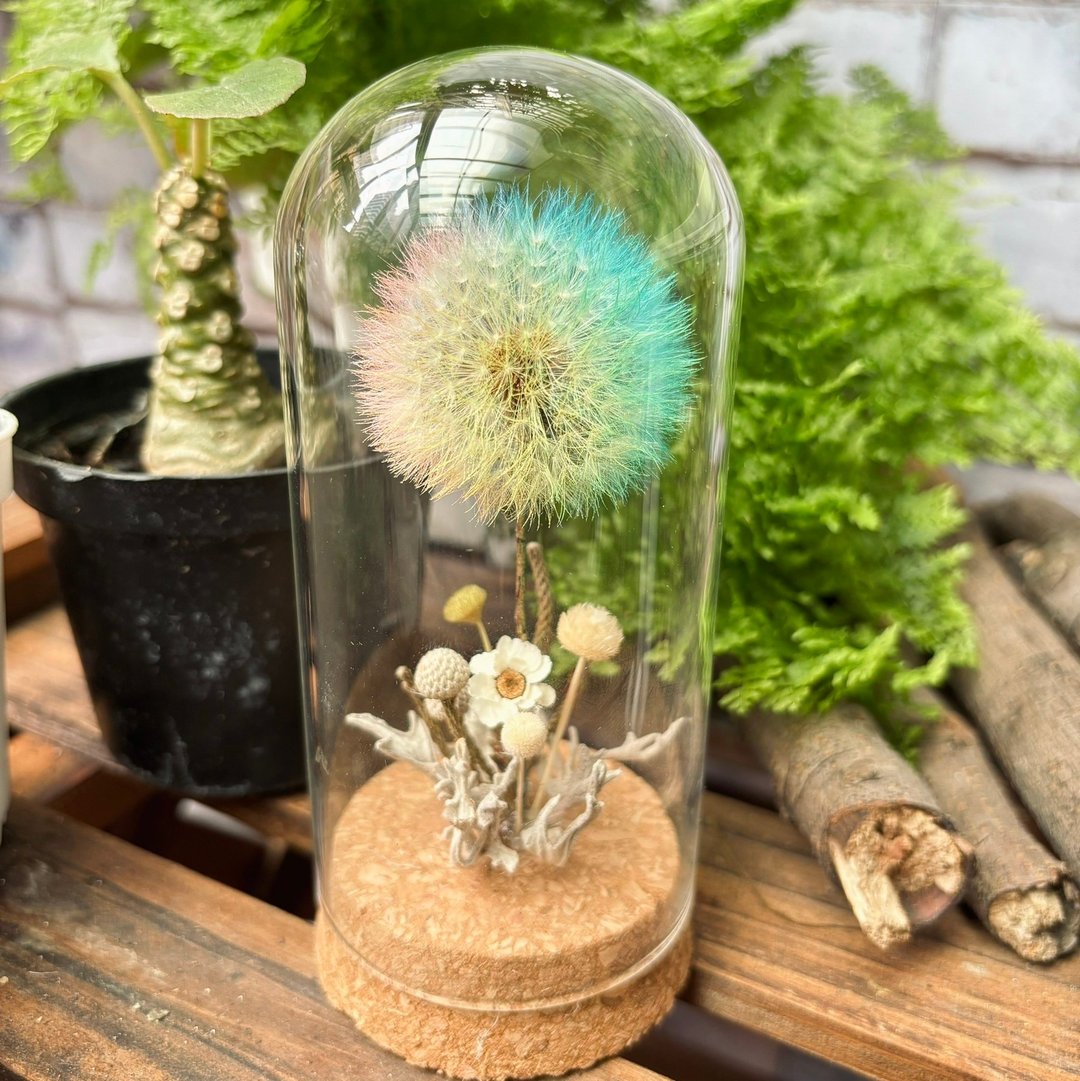 蒲公英 彩色精灵 小森林 微景观 - 摆饰 - 植物．花 